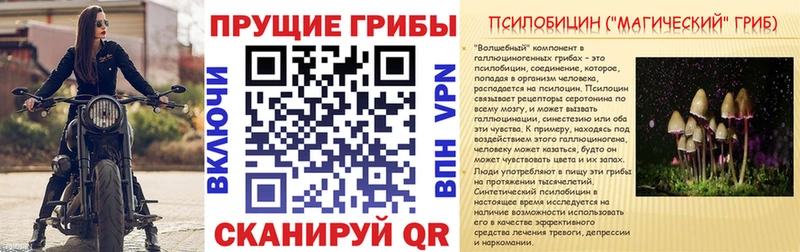 Псилоцибиновые грибы GOLDEN TEACHER  наркошоп  KRAKEN ссылка  Верхний Уфалей 